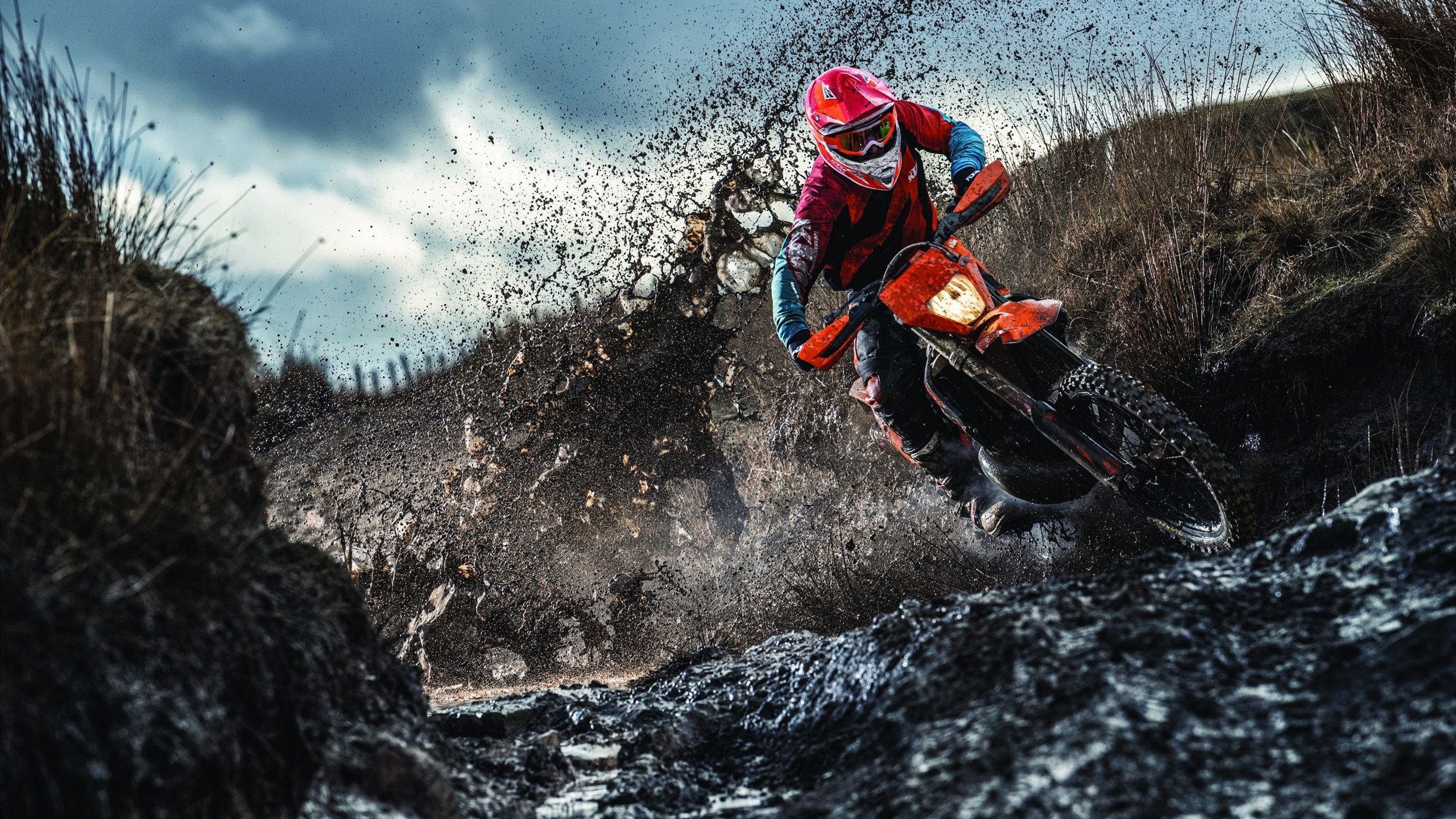 2024年德国队混合团体世界杯亮点：如何挑战强队，德国是否参加2022世界杯