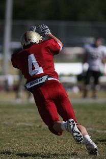 九游下载安装-五大联赛最具统治力的球队如何打造，五大联赛良心球队